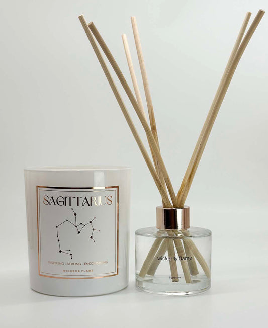 ♐ Sagittarius Zodiac Set
