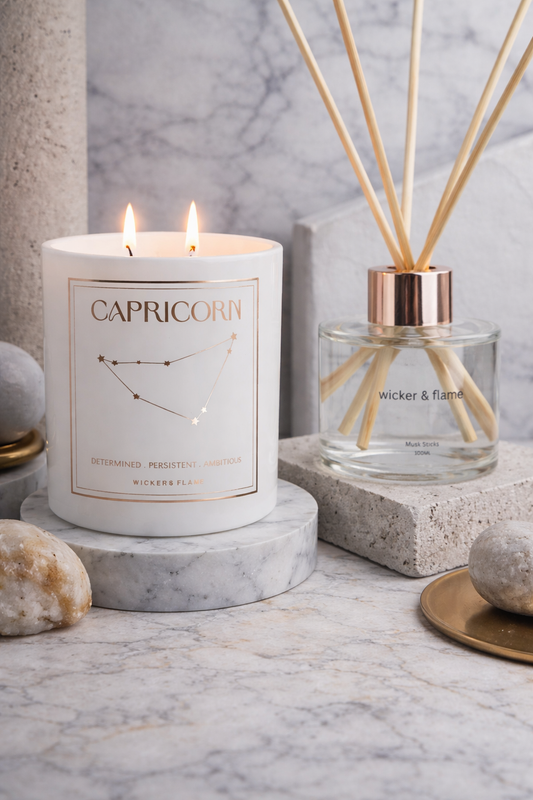 ♑ Capricorn Zodiac Set